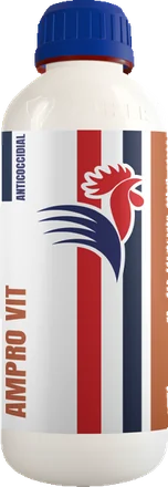 AMPRO VIT