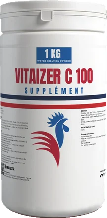 VITAIZER C 100