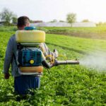 Unraveling the World of Pesticides: Benefits, Risks, and Responsible Use