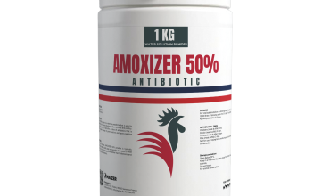 Amoxicillin 50% veterinary antibiotic powder for treating bacterial infections in livestock and poultry