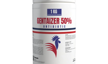 GENTAIZER 50% veterinary antibiotic with Gentamicin 500 mg/g for livestock and poultry, effective against Gram-positive and Gram-negative bacteria