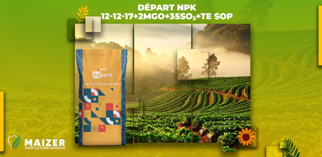 Depart NPK 12-12-17+2MgO+35SO₃+TE SOP Fertilizer