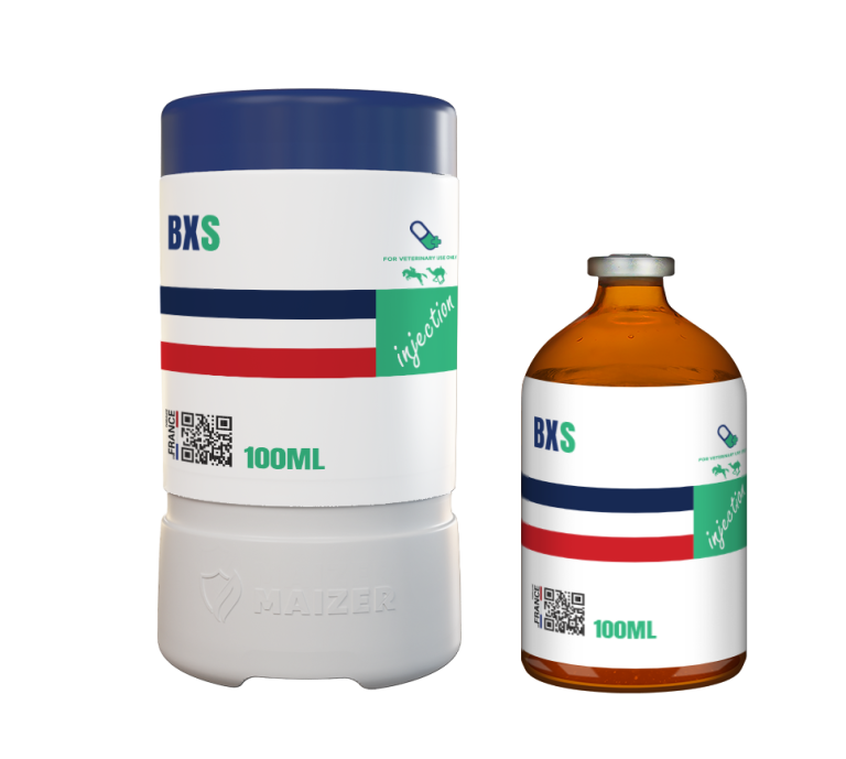 BXS