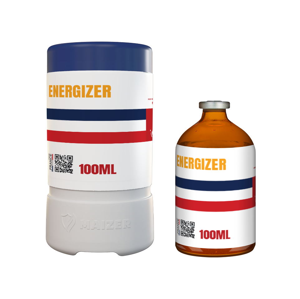 Energizer