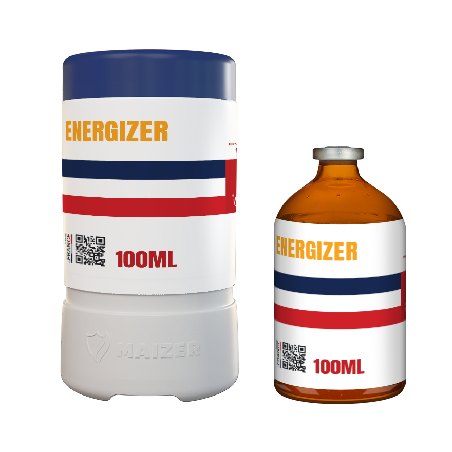 Energizer