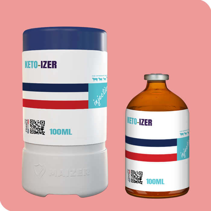 Keto-izer (2)