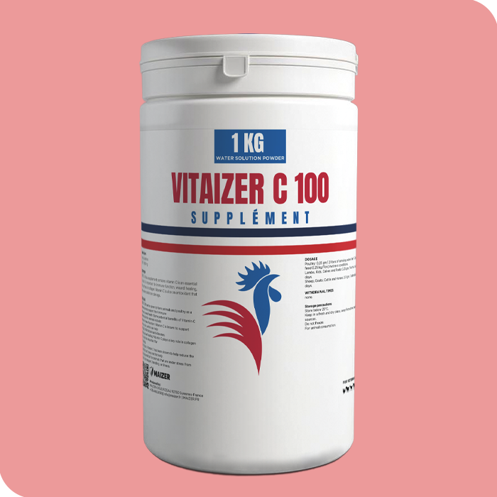 vitaizer c 100