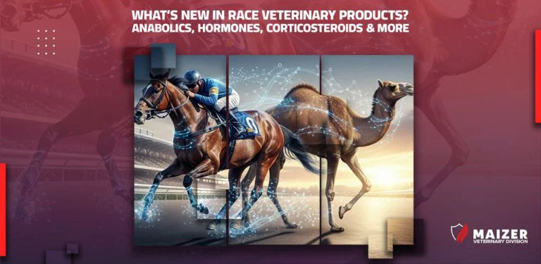 What’s New in Race Veterinary Products?