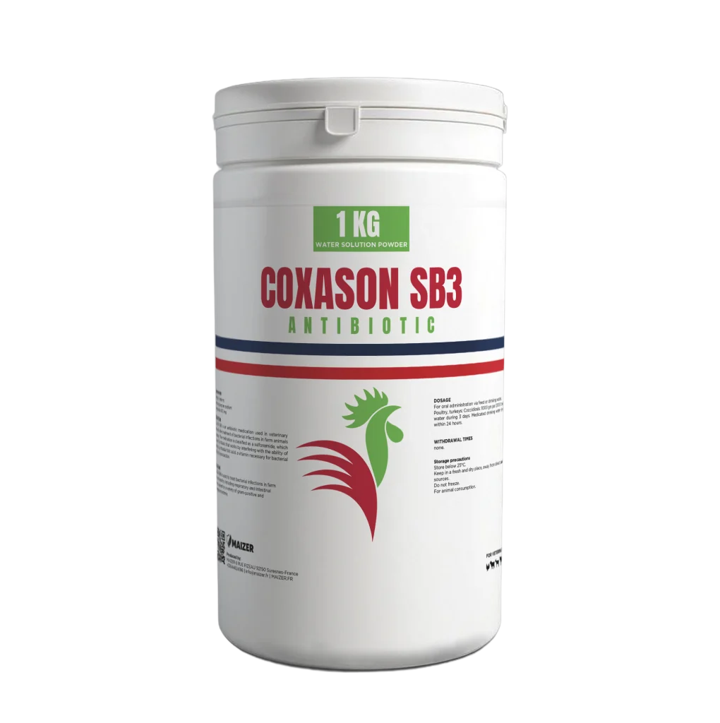 COXASON SB3