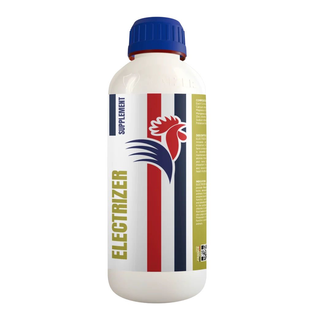 ELECTRIZER