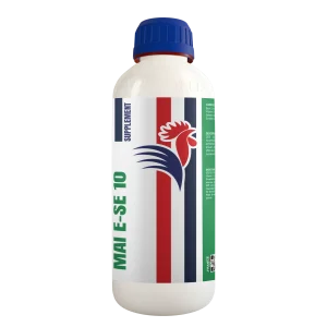 MAI E-SE 10