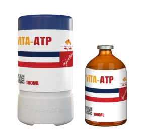 VITA-ATP