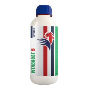 VITABOOST 5